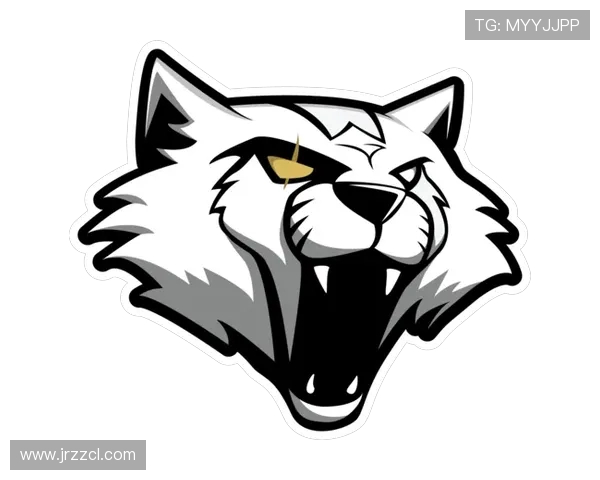 CSGO深度解析：RNG战队实力与战术布局全景剖析